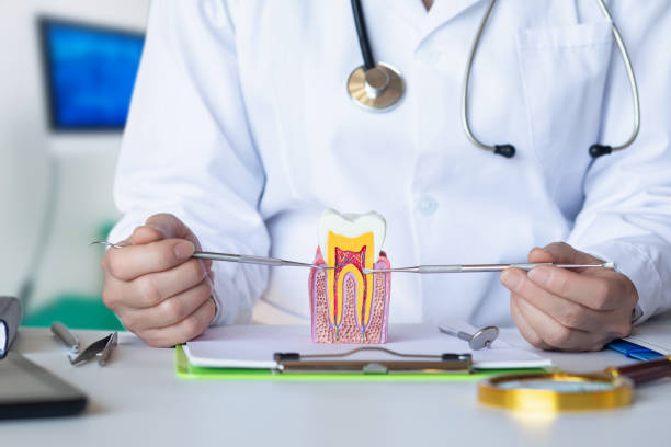 Best Walk-In Emergency Dental Services in North Kansas City, MO